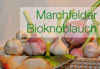 Marchfelder Bioknoblauch